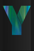DISCOTEXT Letter Y